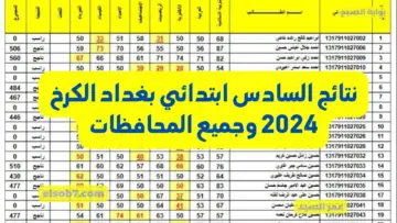 وزارة التربية العراقية.. كيف اطلع نتائج السادس ابتدائي بغداد الكرخ 2024 وعموم العراق موقع نتائجنا PDF بالرقم الامتحاني