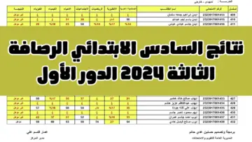اعرف نتيجتك من هنا.. خطوات الاستعلام عن نتائج السادس ابتدائي رصافه ثالثه 2024  والمنصات الرسمية المعتمدة للاستعلام