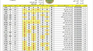 نتائج السادس الابتدائي 2024 1