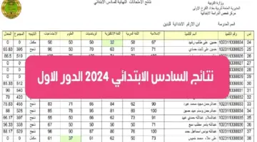 نتائج السادس الابتدائي 2024 3