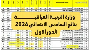 نتائج السادس الابتدائي 2024