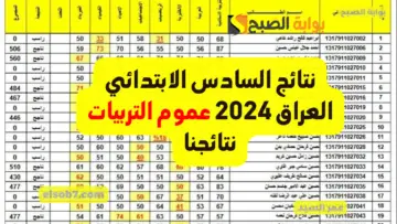 التربيات المتبقية.. نتائج السادس الابتدائي 2024 Mlazemna الدور الأول وزارة التربية العراقية