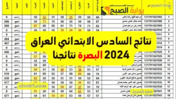 استعلم الآن.. نتائج السادس الابتدائي 2024 البصرة mlazemna نتائجنا لينك استخراج نتيجة تربية البصره القرنة والزبير وكل الأقضية