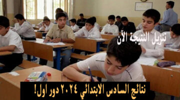نتائج السادس الابتدائي 2024 دور اول 1