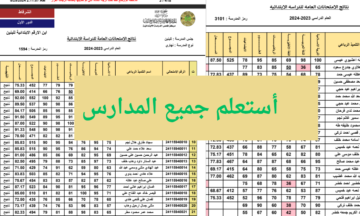وزارة التربية أو نتائجنا .. رابط استعلام نتائج السادس الابتدائي 2024 دور اول في نينوى – ديالي – الرصافة 2