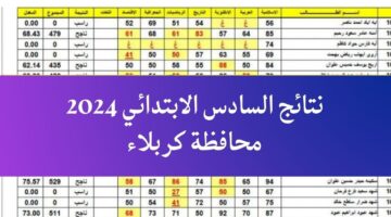 نتائج السادس الابتدائي 2024 كربلاء 3