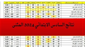 نتائج السادس الابتدائي 2024 محافظة المثنى 1