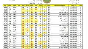 نتائج السادس الابتدائي 2024 موقع نتائجنا