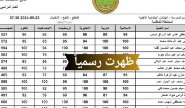 رابط نتائج السادس الابتدائي 2024 تربية الرصافة الثانية وباقي المحافظات.. الرابط المباشر https://epedu.gov.iq