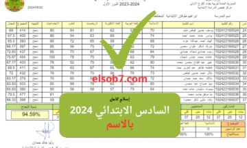 رابط جديد .. pdf نتائج السادس الابتدائي 2024 واسط كوكل درايف