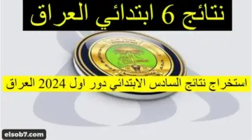 نتائج السادس الابتدائي 2024 وزاري