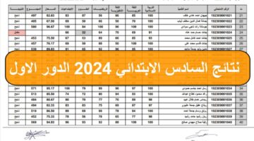نتائج السادس الابتدائي 3