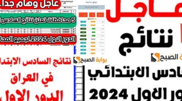 نتائج السادس الابتدائي 4