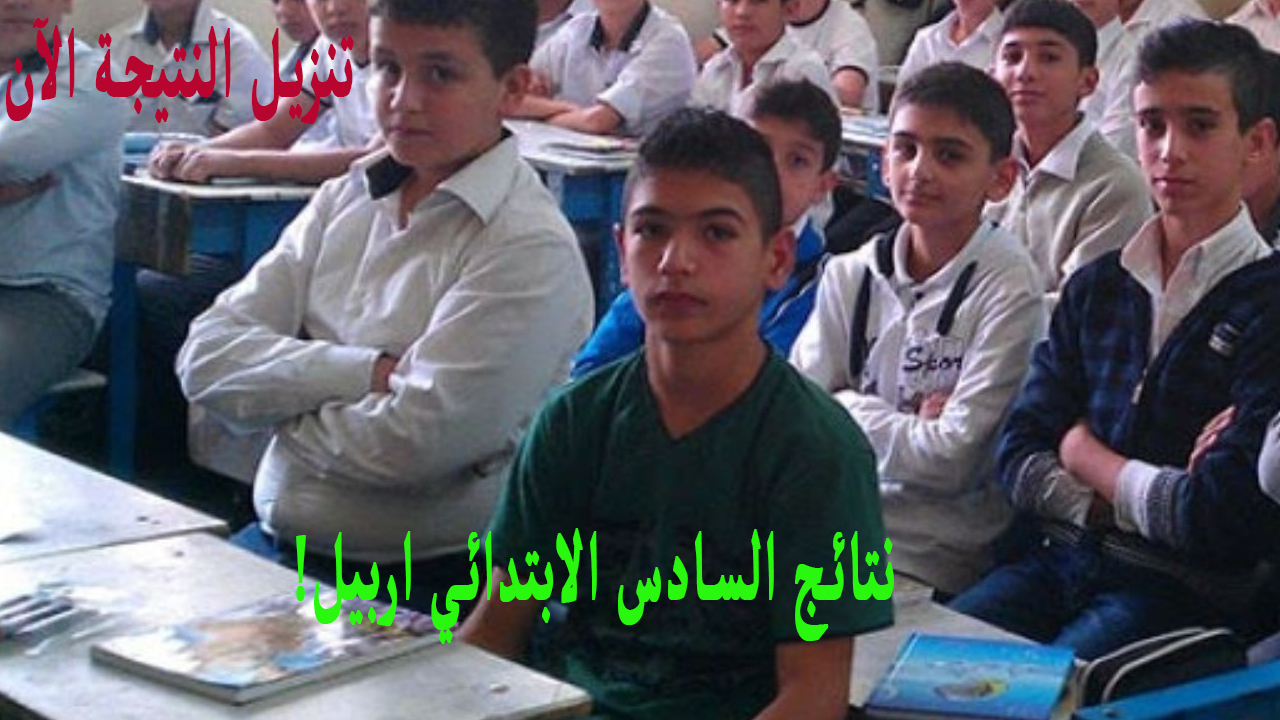 (فور ظهورها) رابط نتائج السادس الابتدائي اربيل 2024 دور أول لينك موقع نتائجنا الوزاري