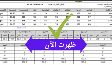 (هنا PDF) الدور الثاني نتائج السادس الابتدائي 2024 موقع نتائجنا وزارة التربية العراقية بالاسم والرقم الامتحاني