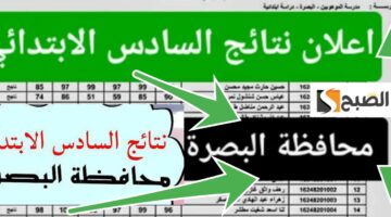 نتائج السادس الابتدائي البصرة 1