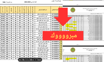 72% النجاح  .. نتائج الرصافة الثالثة السادس ابتدائي 2024 الدور الأول وزارة التربية