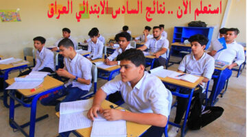 نتائج السادس الابتدائي العراق 2024 3