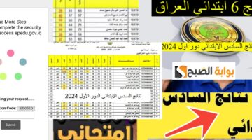 نتائج السادس الابتدائي العراق الدور الأول 2024