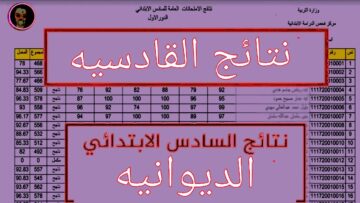 “مُبارك نجاحكم” الآن رابط نتائج السادس الابتدائي 2024 القادسية الدور الأول “الديوانيه” عبر موقع نتائجنا ووزارة التربية العراقية