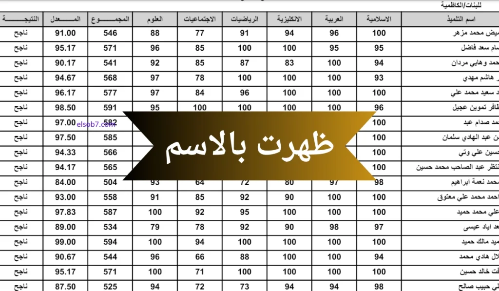 لينك pdf.. نتائج السادس الابتدائي بالاسم 2024 الدور الاول عبر موقع وزارة التربية العراقية epedu.gov.iq في كل المحافظات