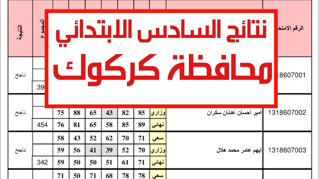 “رسميًا” نتائج السادس الابتدائي كركوك 2024 عبر موقع الوزارة ونتائجنا