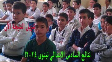 نتائج السادس الابتدائي نينوى 2024