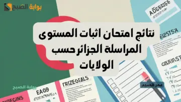 كشف النقاط.. رابط استخراج نتائج المراسلة 2024 جميع ولايات الجزائر onefd edu dz الديوان الوطني للتعليم والتكوين