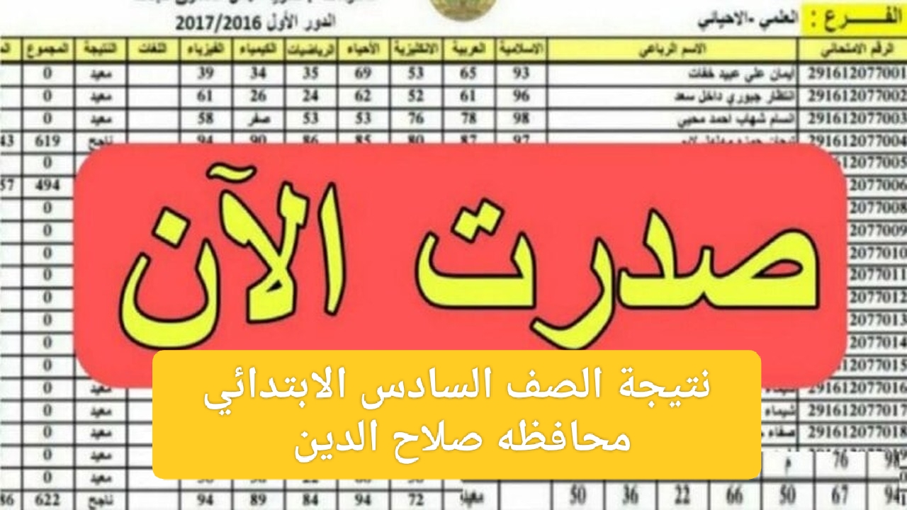 رسمياً صدرت pdf| رابط نتائج صلاح الدين السادس الابتدائي 2024 بالاسم والرقم الامتحاني 5 رسمياً صدرت pdf| رابط نتائج صلاح الدين السادس الابتدائي 2024 بالاسم والرقم الامتحاني