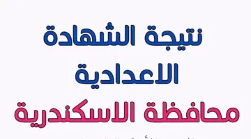 نتيجة الشهادة الإعدادية الترم الثاني محافظة الإسكندرية 2023.jpg