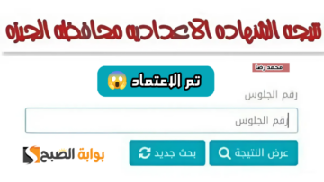 بنسبة نجاح تصل إلى 87.5%.. التربية والتعليم تعتمد نتيجة الشهادة الإعدادية محافظة الجيزة بالإسم ورقم الجلوس
