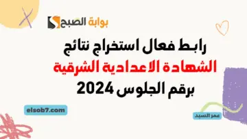 نتيجة الصف الثالث الإعدادي 2024 محافظة الشرقية sharkia.gov.eg نتائج الشهادة الاعدادية بالاسم ورقم الجلوس