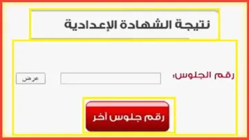 اعتماد نتيجة الصف الثالث الاعدادي القاهرة 2024 الترم الثاني بنسبة نجاح 84.7%
