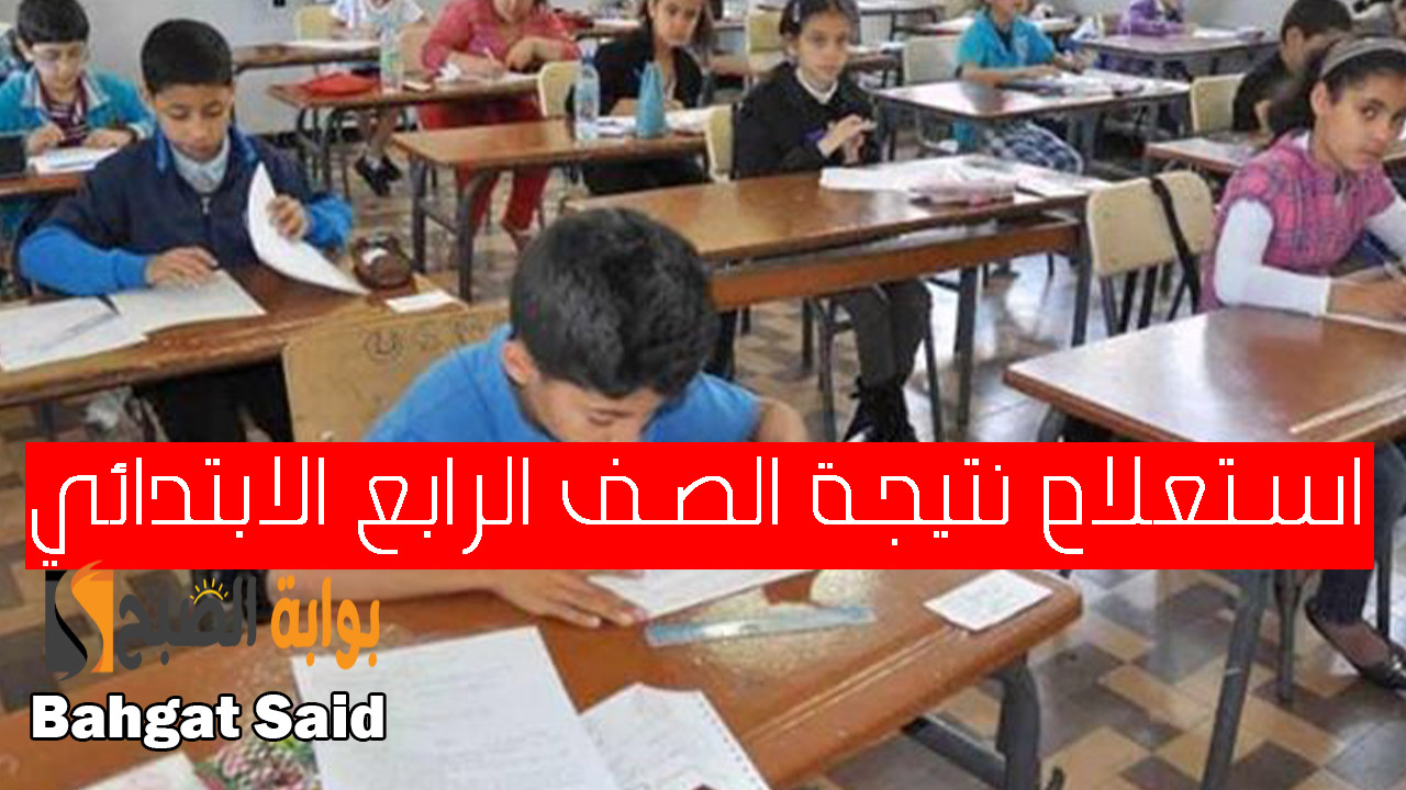 نتيجة الصف الرابع الابتدائي 2024.. خطوات الحصول على النتائج من البوابة الإلكترونية 5 نتيجة الصف الرابع الابتدائي 2024.. خطوات الحصول على النتائج من البوابة الإلكترونية
