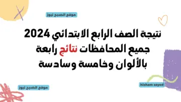 نتيجة الصف الرابع الابتدائي بالاسم فقط 2024 ورقم الجلوس نتائج رابعة بالألوان وسنة خامسة وسادسة القاهرة