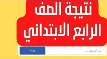 نتيجة الصف الرابع الابتدائي برقم الجلوس