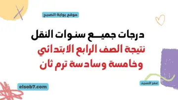 نتائج النقل للتعليم الأساسي.. نتيجة الصف الرابع الابتدائي جميع المحافظات بالاسم ورقم الجلوس 2024 وزارة التربية والتعليم