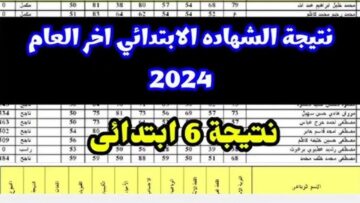 استعلام نتيجة الصف السادس الإبتدائي بالاسم 2024 الترم الثاني عبر الموقع الرسمي للوزارة في جميع المحافظات
