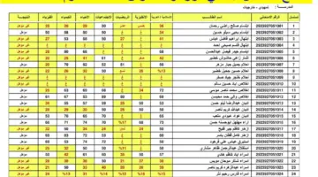 نتيجة الصف السادس الابتدائي العراق 2024 1024x724 5