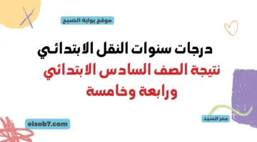 نتيجة الصف السادس الابتدائي بالاسم فقط ورقم الجلوس