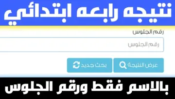 “هنا” .. رابط الاستعلام عن نتيجة سنوات النقل بدءً من الصف الرابع حتى السادس الإبتدائي بالرقم القومي لمحافظة القاهرة 2024