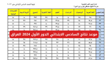 نص فقرتك 2