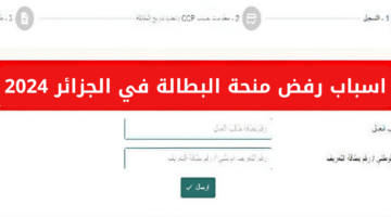 نص فقرتك 2024 05 14T122729.629