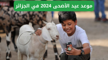 نص فقرتك 2024 05 14T184354.322