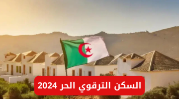 نص فقرتك 2024 05 19T143849.980