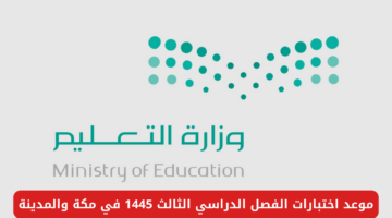 نص فقرتك 3