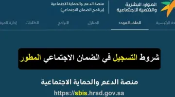 نظام 1 1