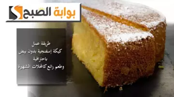 يببالبالبا