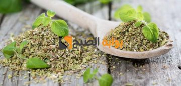 وصفة البردقوش للتخسيس وتنحيف الجسم تعرف على فوائدها الصحية