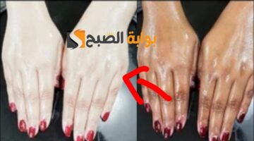 ٢٠٢٤٠٥١٣ ٢٠٥٩٢٣